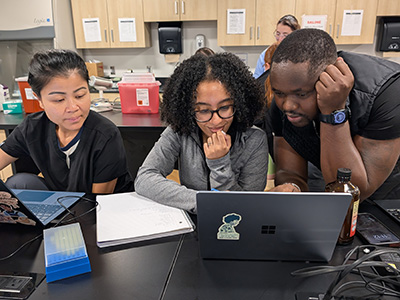 A group of students working on their computers in a lab.