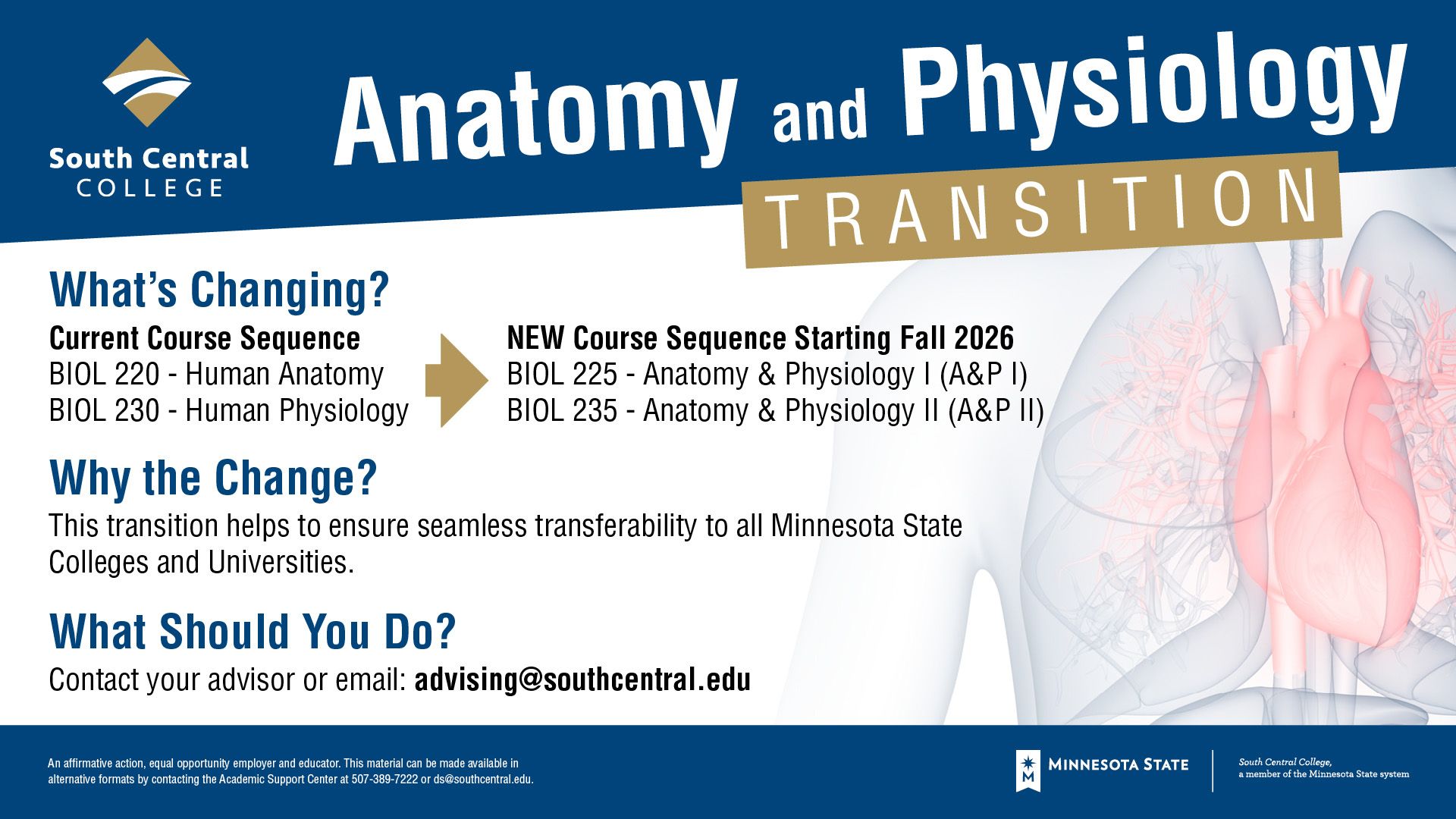 Anatomy and Physiology Transition